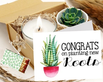 Congrats on Planting New Roots - Succulent Gift Box - Moving Gift - New Job - Promotion Care Package - New Home - New Apartment