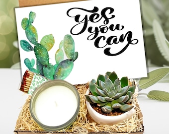 Yes you can - Live succulent gift box - Encouragement Gift Box - Succulent Gift box - Thinking of you- FREE SHIPPING - You can do it