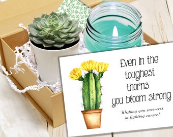 Cancer support succulent gift box - Unisex cancer care package with succulent and candle - cancer survivor gift  - Unisex cancer journey