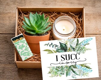 May include: A gift box containing a green succulent in a terracotta pot, a white candle in a glass jar, a box of matches with a green cactus pattern, and a white card with green botanical illustrations and the text I SUCC i'm sorry.