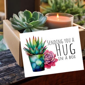 May include: A white card with a watercolor illustration of two succulents in pots. The card says "Sending you a hug in a box".