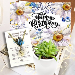 Wszystkiego najlepszego z okazji urodzin Daisy Design- Miniaturowe pudełko na sukulenty - Zbuduj spersonalizowane pudełko - Pudełko na sukulenty w ceramicznej doniczce i naszyjnik -