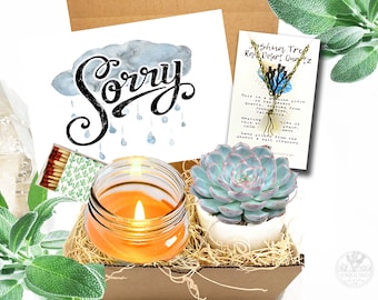 Sorry Succulent Gift Box Set / Send a Gift  / Condolences / Apology Gift / sorry gift / Deepest Sympathy / Sympathy care pacakge