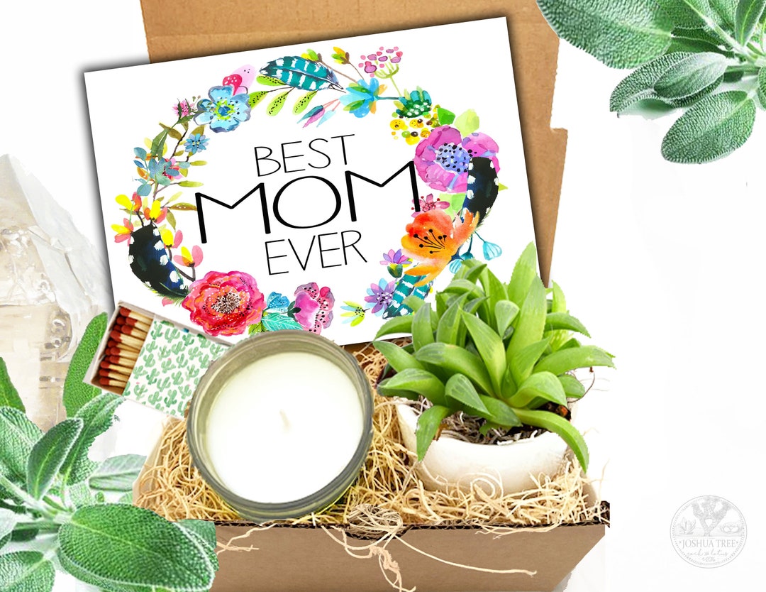 Mothers Day Gift Box Care Package Succulent in Ceramic Pot Box, Miss ...