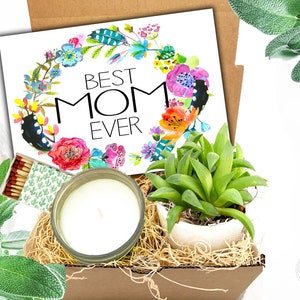 Mothers Day Gift Box Care Package succulent in ceramic pot Box, miss you mom care package, happy mothers day , gifts for mom, grandmother