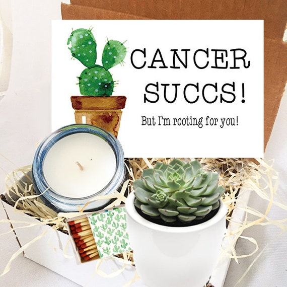 Cancer Succs Succulent Gift Box Cancer Sucks Cheer up 