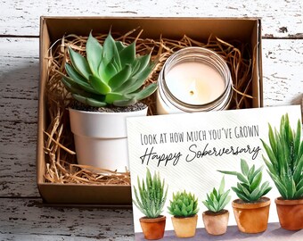 Soberversary Gift Box - Succulent Sobriety Gift Set - Celebrate a Sober Milestone - Congratulations on your sobriety / Sobriety gift for her