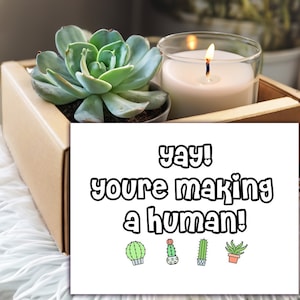 Pregnancy / New Baby Congrats Succulent & Candle gift box  new mom - live plant - new parents / Congrats on pregnancy gift / Expecting mom