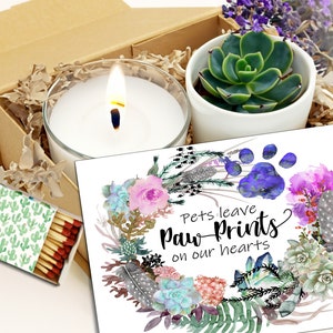 Pets Leave Paw Prints on our hearts - Succulent Gift Box -  Sympathy Gift Box - sorry for your loss bereavement for cat or dog or animal
