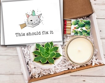 May include: A gift box filled with a white candle, a small succulent plant in a white pot, a box of matches with a cactus print, and a card with a hand holding a cat with a crystal on its head. The card reads "This should fix it."