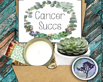 Cancer Succs - Succulent in Ceramic Pot with Candle Gift Set / Chemo Gift Box / Surgery Care Package / Thinking of You Box / Sympathy Gift