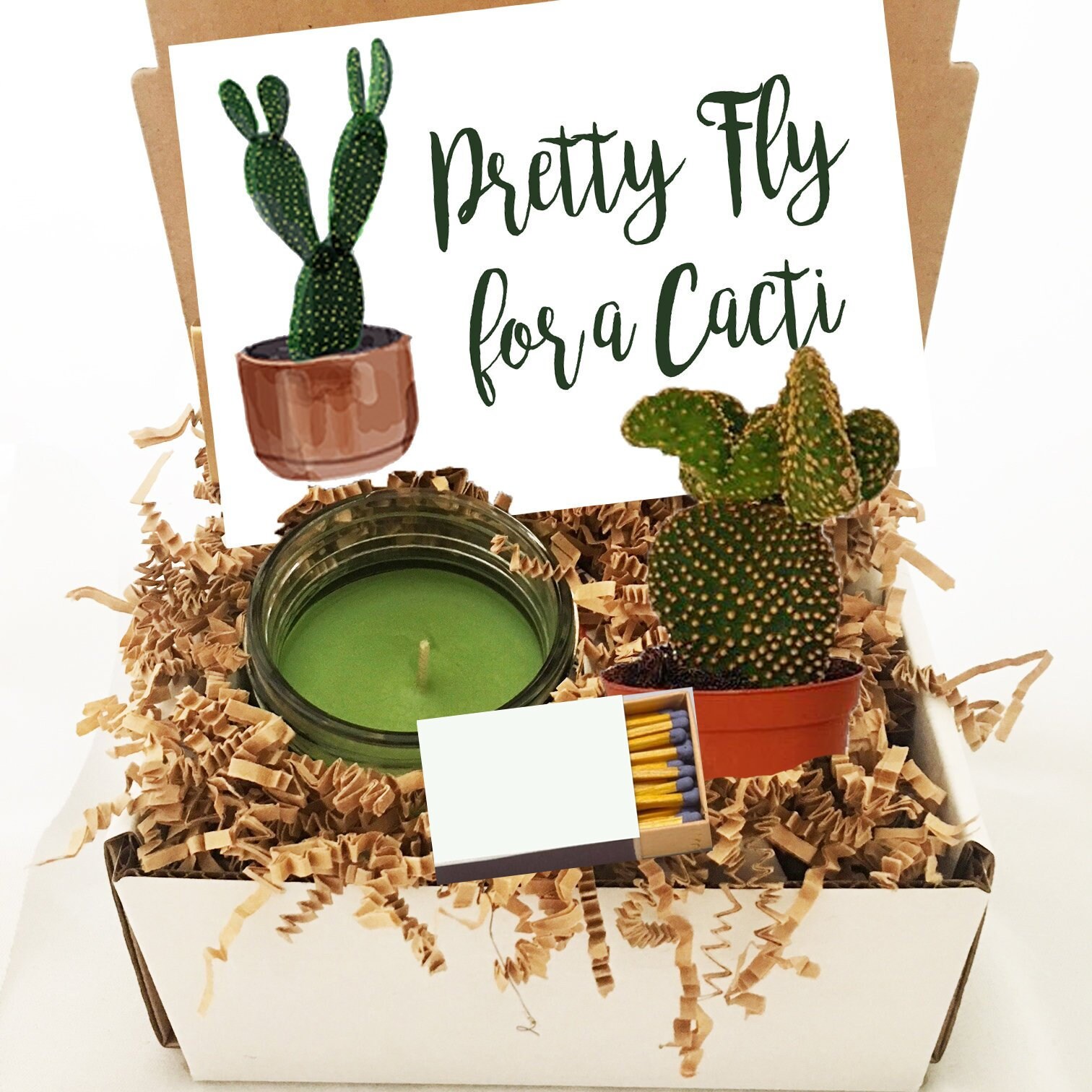 Cactus Gift Box Succulent Gift Box Cactus gift for friend Etsy