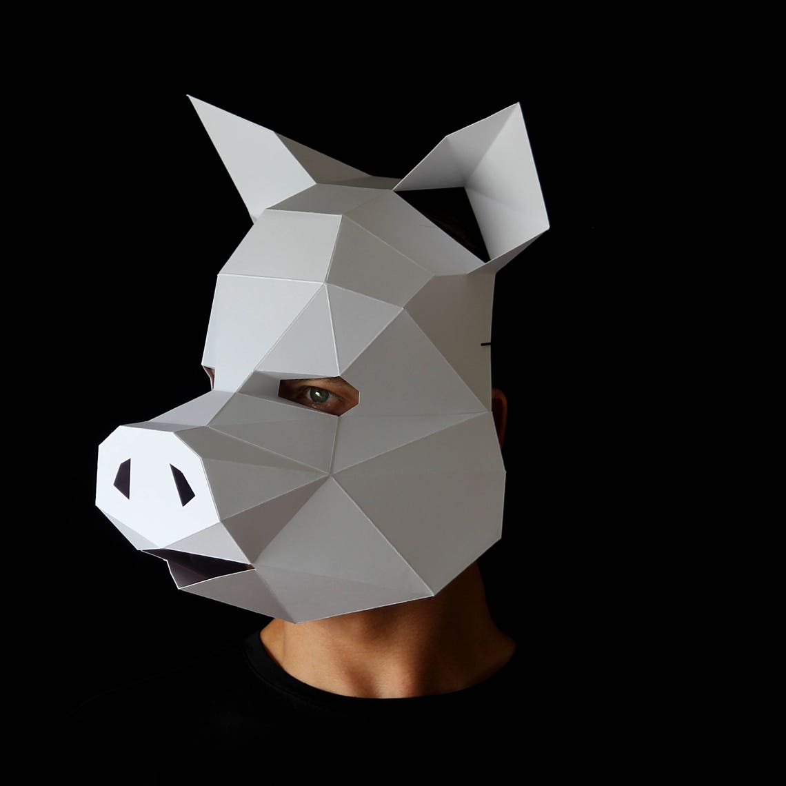 PIG Mask Make a Pig Mask With This PDF Template - Etsy