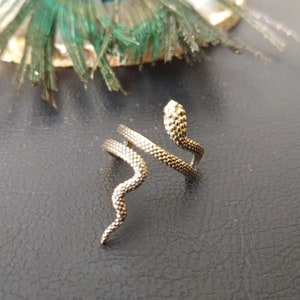 Bague D'Oreille serpent || Bijoux D'Oreilles Viking || Bijoux D'Oreilles Pour L'Hélix Viper || Décoration D'Oreilles Sans Piercing Symbole