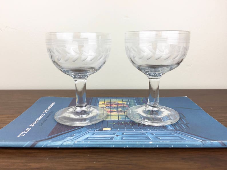 Pair Of Vintage Etched Leavesgarlands Mini Coupe Glasses For Etsy