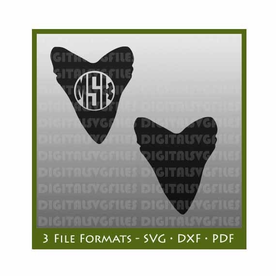 Download Digital File Fossil Tooth Shark Tooth Svg Fossil Svg Fossil Etsy