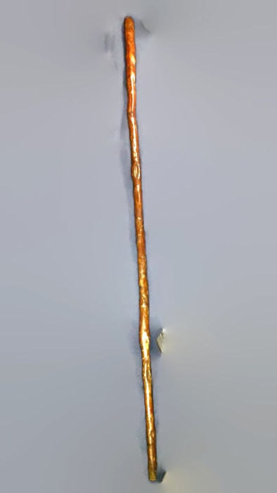 Natural walking stick / sheleighly 34 1/2 inch long antique Etsy