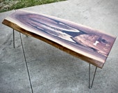 Live Edge Walnut Slab Coffee Table Bench with Burl Bowties and Walnuts Grown into The Slab