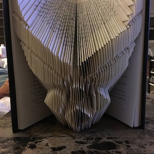 May include: A book with pages folded to create a butterfly shape. The pages are light-colored with printed text, and the book has a dark cover. The butterfly design is centered, with the wings spread open.