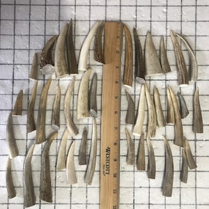1lb or 2lb bag of Craft Antler tips. No damage. Antler tips.