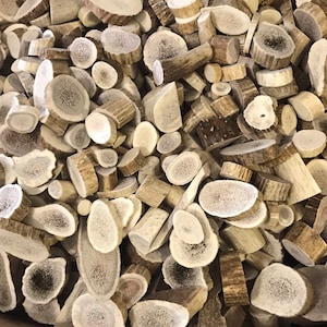 Bag of Elk and Deer Antler Buttons - Small/Medium/Large. Random sizes and shapes. 1 lb or 2 lb bag