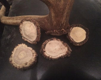 Rebaba de asta de alce, hebilla de cinturón de asta, pisapapeles de asta.