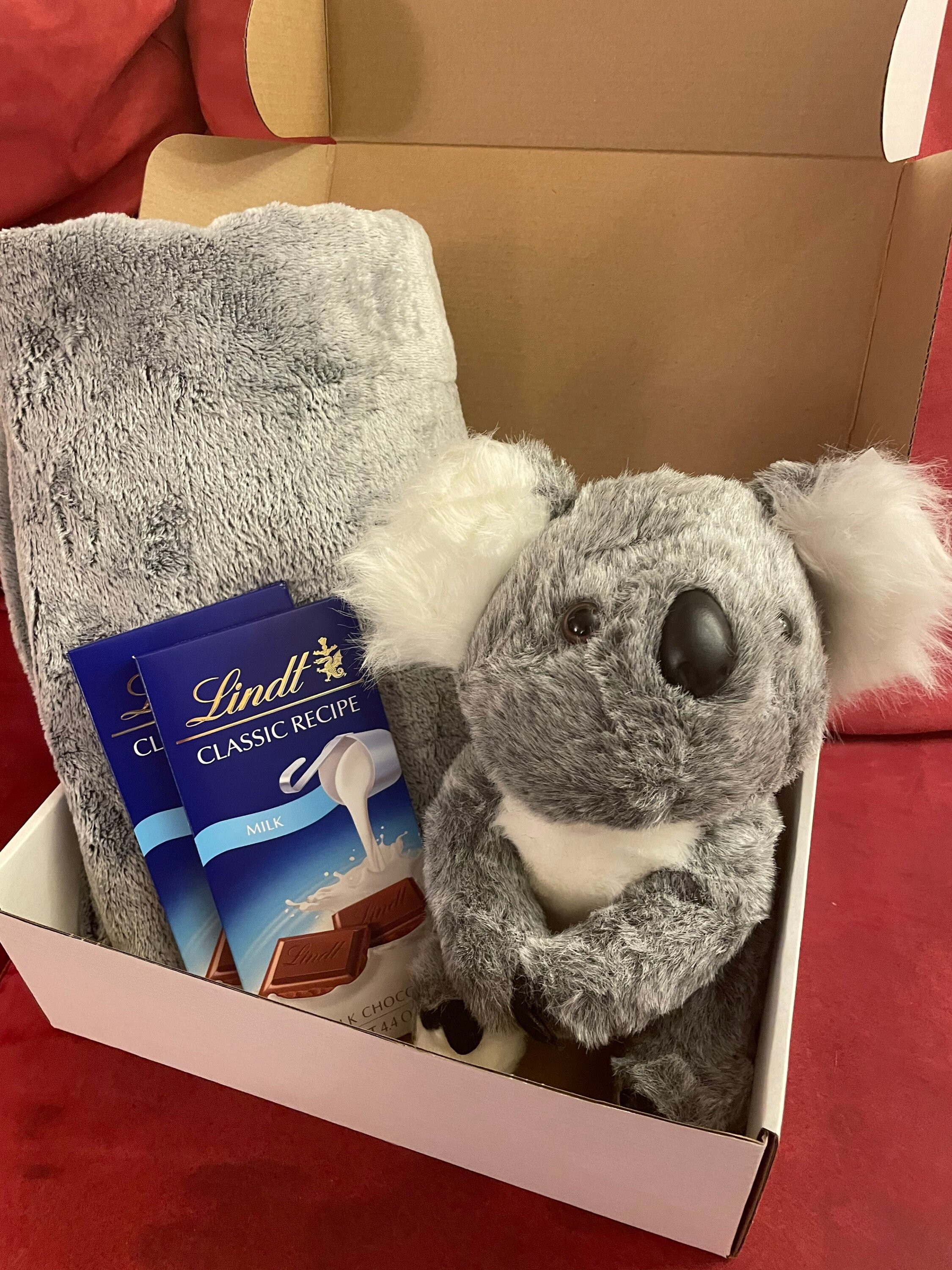 Toby the Teddy Bear  SendAFriend's Stuffed Animal Care Packages