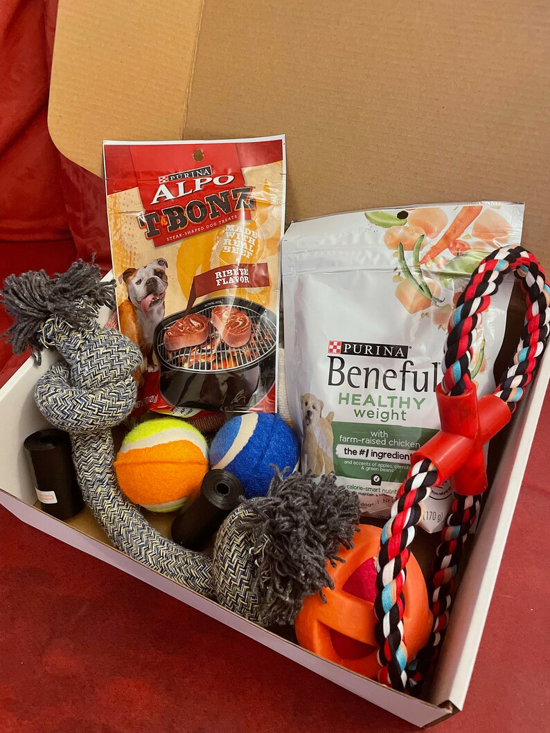 Dog Gift Box New Puppy Gift Box Dog Toy Basket Pup Etsy
