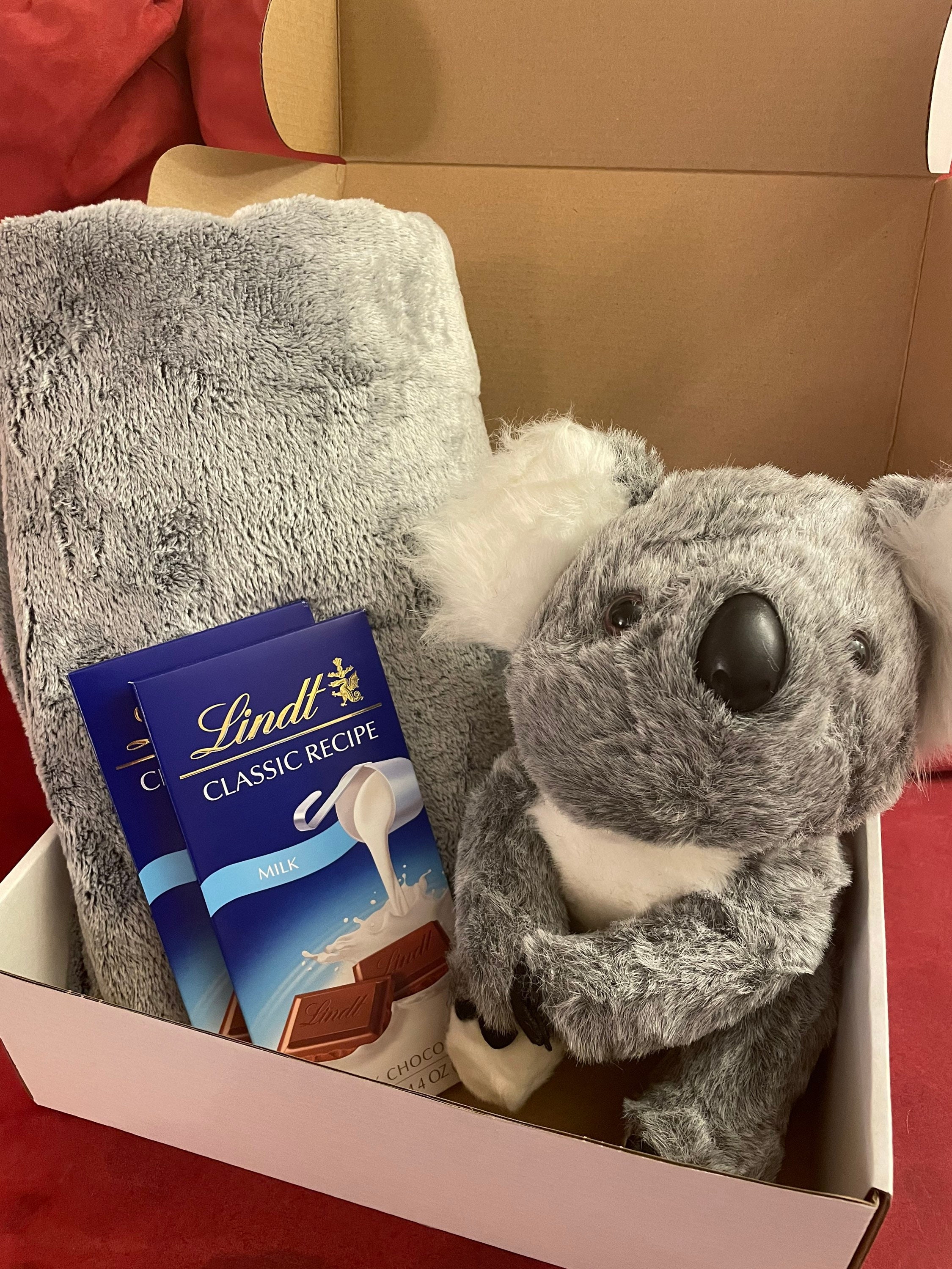 Koala Stuffed Animal Care Package Sending Love & Hugs Thinking of You