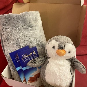 Penguin- Stuffed Animal Care Package | Sending Love & Hugs | Thinking of You Gift | Baby Shower Gift | Animal Lover Gift | Baby Gift |
