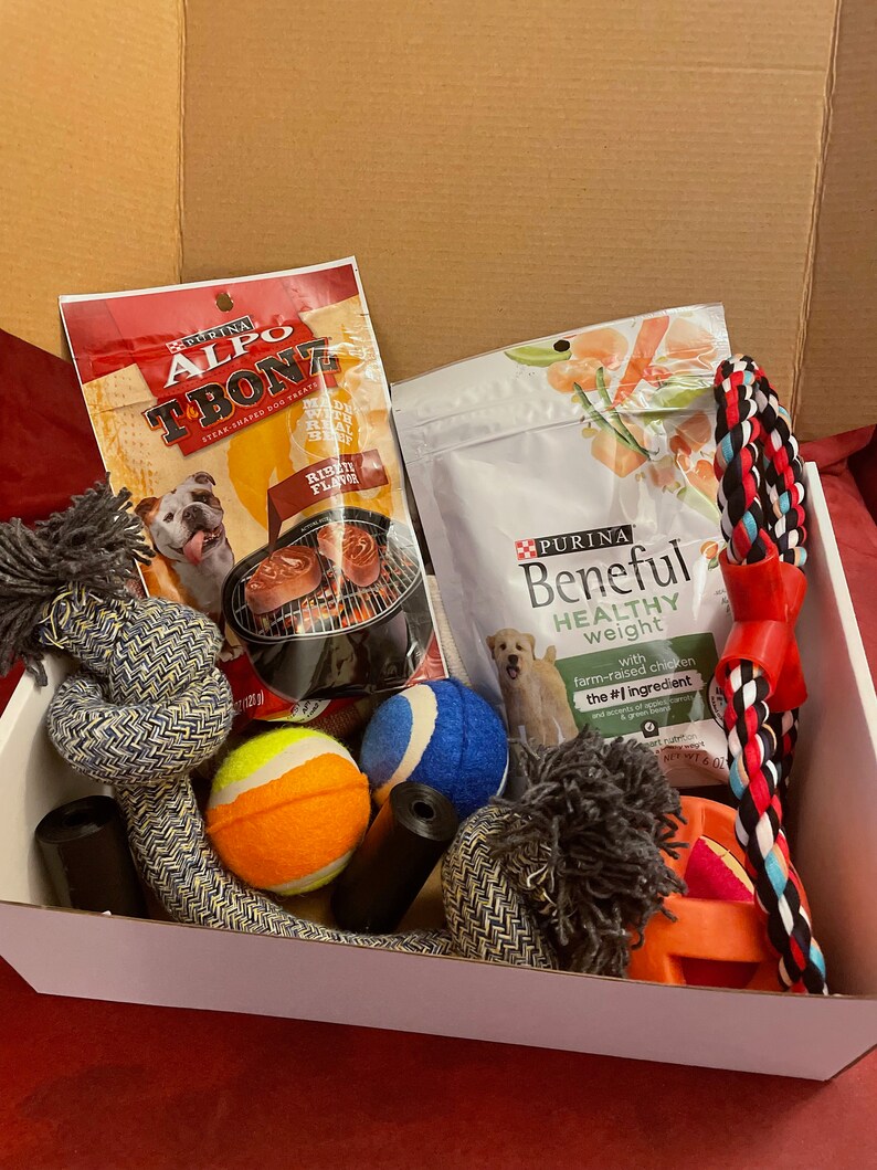 Dog Gift Box New Puppy Gift Box Dog Toy Basket Pup Etsy