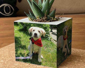 Vaso de concreto personalizado com várias fotos, ideal para colagem de fotos personalizada.