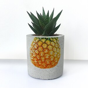 May include: A concrete planter with a pineapple design, featuring a green succulent plant. The planter is a light grey colour with a textured surface.