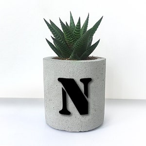 Könnte beinhalten: Ein grauer Betontopf mit dem Buchstaben "N" in schwarzer Schrift. Der Topf ist mit einer grünen Sukkulente bepflanzt.
