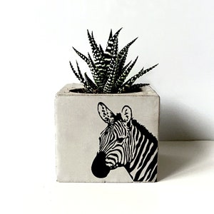 Zebra Printed Concrete Planter, Personalized Gifts, Succulent Holder, Beton Flower Pot, Animal Prints, Wedding Favors, Bridesmaid Gifts