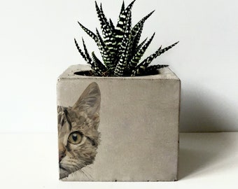 Cat Printed Concrete Planter, Succulent Holder, Concrete Cactus Pots, Animal Prints Gift, Office Decor, Cement Outdoor Gift, Cat Lover Gift