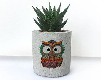 Owl Printed Concrete Planter, Cactus Holder, Personalized Gifts, Succulent Holder, Gift For Him, Plant Pots, Owl Lovers, Animal Prints