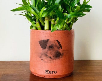 Pet Portrait On Terra Cotta Pot, Personalized Gifts with Pet Picture, Pet Memorial Gift, Handmade Gift, Mothers Day Gift, Pet Photo Planter