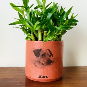 Pet Portrait On Terra Cotta Pot, Personalized Gifts with Pet Picture, Pet Memorial Gift, Handmade Gift, Mothers Day Gift, Pet Photo Planter image 1