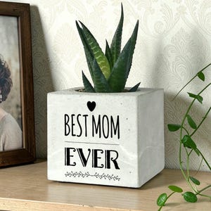 May include: A square, pale grey concrete planter with the text "BEST MOM EVER" in black, containing a green succulent plant. A framed photograph is to the left. The planter is on a wooden shelf.