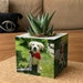 see more listings in the Cube Planters section