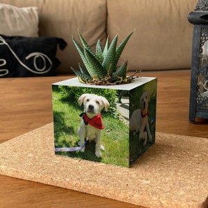 Plusieurs photos sur une jardinière en béton, cadeau personnalisable, pot minimaliste avec vos photos, cadeau fait main pour lui, cadeau papa personnalisé