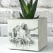 see more listings in the Cube Planters section