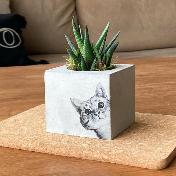 Cat Concrete Planter, Cat Lover Gift, Customizable Pot With Cat, Handmade Item, Pet Gift, Mothers Day Gift, Gift For Grandma, Mom Gift