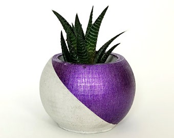FREE SHIPPING // Purple painted concrete planter / flower pot / succulent pots / gift / home decor