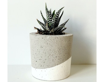 Handmade Concrete Planter: Modern Cement Succulent Pot