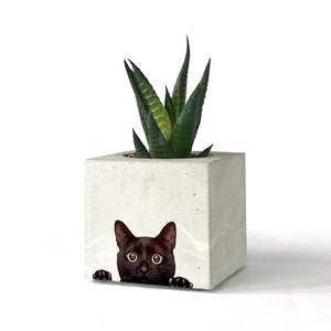 Black Cat Printed Concrete Planter, Succulent Holder, Concrete Cactus Pots, Unique Gift For Her, Office Decor Plant Pot