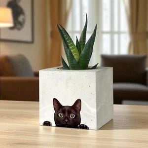Handmade Black Cat Concrete Planter: Custom Message Option, Small or Large Size Home Decor