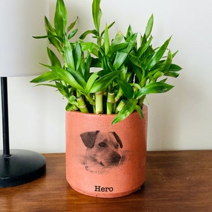 Pet Portrait On Terra Cotta Pot, Personalized Gifts with Pet Picture, Pet Memorial Gift, Handmade Gift, Mothers Day Gift, Pet Photo Planter image 2