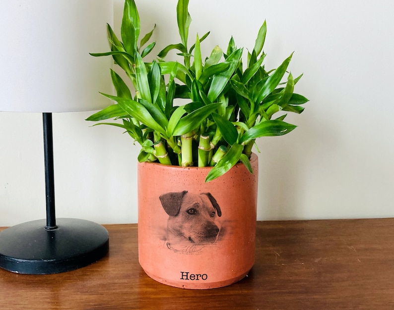 Pet Portrait On Terra Cotta Pot, Personalized Gifts with Pet Picture, Pet Memorial Gift, Handmade Gift, Mothers Day Gift, Pet Photo Planter image 2